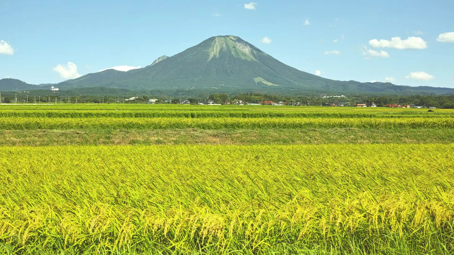 鳥取県大山を望む田園風景 — こだわり野菜の主要産地